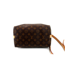Louis Vuitton Speedy 25 Monogram