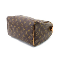 Louis Vuitton Speedy 25 Monogram
