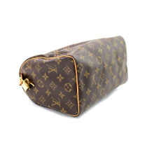 Louis Vuitton Speedy 25 Monogram