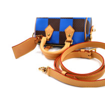 Louis Vuitton Speedy Mini Tela Marrone e Blu