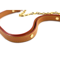Louis Vuitton Loop Monogram