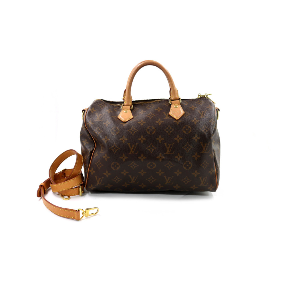 Louis Vuitton Speedy 30 Monogram