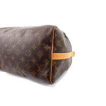 Louis Vuitton Speedy 30 Monogram