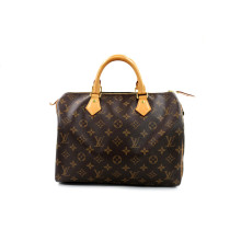 Louis Vuitton Speedy 30 Monogram