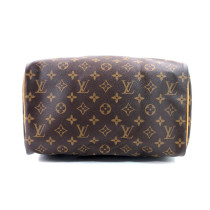 Louis Vuitton Speedy 30 Monogram