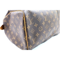 Louis Vuitton Speedy 30 Monogram