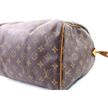 Louis Vuitton Speedy 30 Monogram