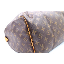 Louis Vuitton Speedy 30 Monogram