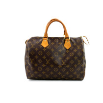 Louis Vuitton Speedy 30 Monogram