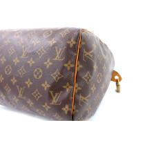 Louis Vuitton Speedy 30 Monogram