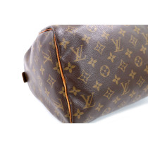 Louis Vuitton Speedy 30 Monogram