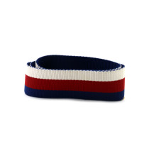 Gucci Tracolla Tela Blu, Bianca e Rossa