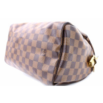 Louis Vuitton Speedy 25 Damier Ebene