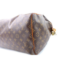 Louis Vuitton Speedy 40 Monogram