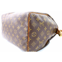 Louis Vuitton Speedy 30 Monogram