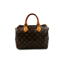 Louis Vuitton Speedy 30 Monogram