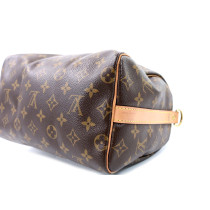 Louis Vuitton Speedy 30 Monogram