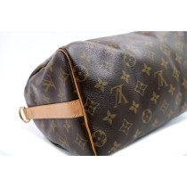 Louis Vuitton Speedy 30 Monogram