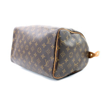 Louis Vuitton Speedy 30 Monogram