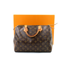 Louis Vuitton Speedy 30 Monogram