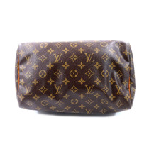 Louis Vuitton Speedy 30 Monogram