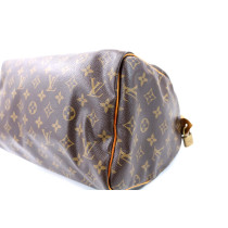 Louis Vuitton Speedy 30 Monogram