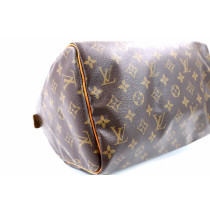 Louis Vuitton Speedy 30 Monogram