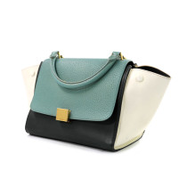 Celine Trapeze Pelle Multicolor