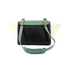 Celine Trapeze Pelle Multicolor