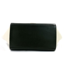 Celine Trapeze Pelle Multicolor