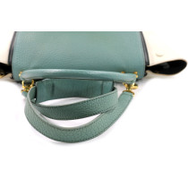 Celine Trapeze Pelle Multicolor