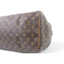 Louis Vuitton Speedy 40 Monogram