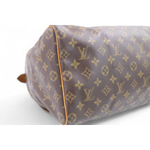 Louis Vuitton Speedy 40 Monogram