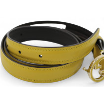 Gucci Cintura Pelle Verde e Nera