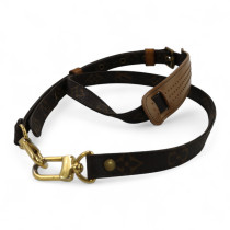 Louis Vuitton Tracolla Monogram