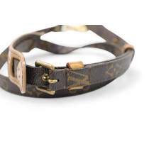 Louis Vuitton Tracolla Monogram