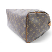 Louis Vuitton Speedy 30 Monogram