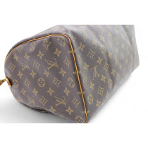 Louis Vuitton Speedy 30 Monogram