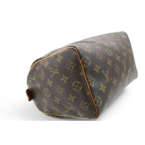 Louis Vuitton Speedy 25 Monogram
