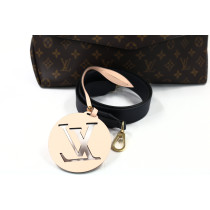 Louis Vuitton Beaubourg MM Monogram