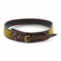 Gucci Cintura Velluto e Pelle Verde e Marrone